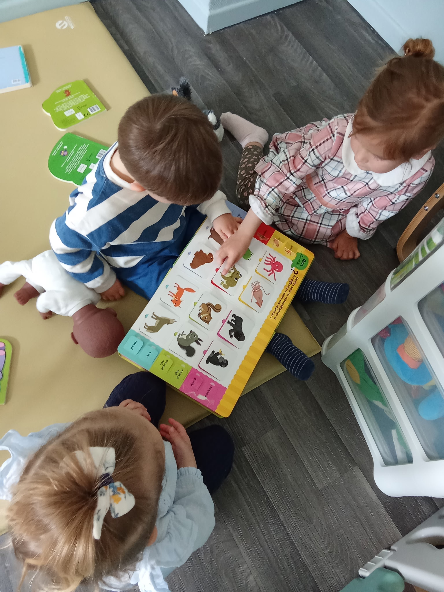 L’équipe Lecture collective et découverte d’un imagier